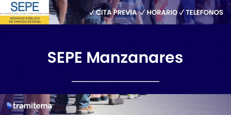 SEPE Manzanares