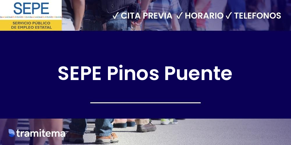 SEPE Pinos Puente