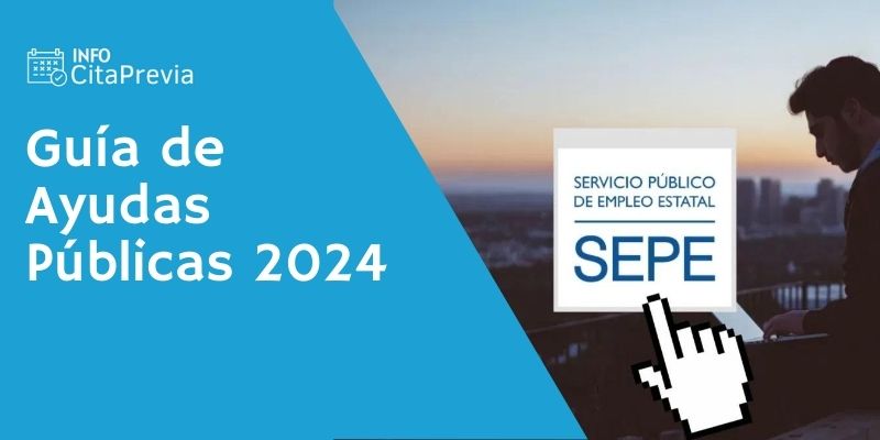 Guia de ayudas publicas 2024